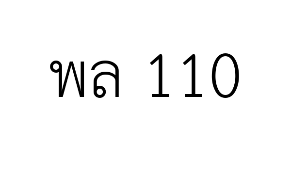 พล 110